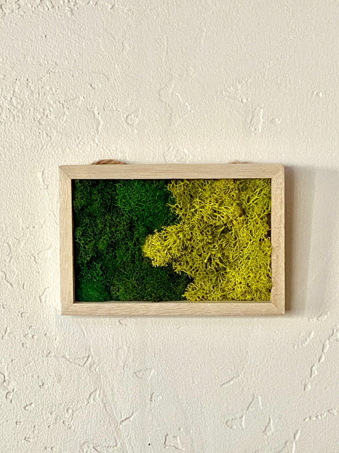 MOSS FRAME