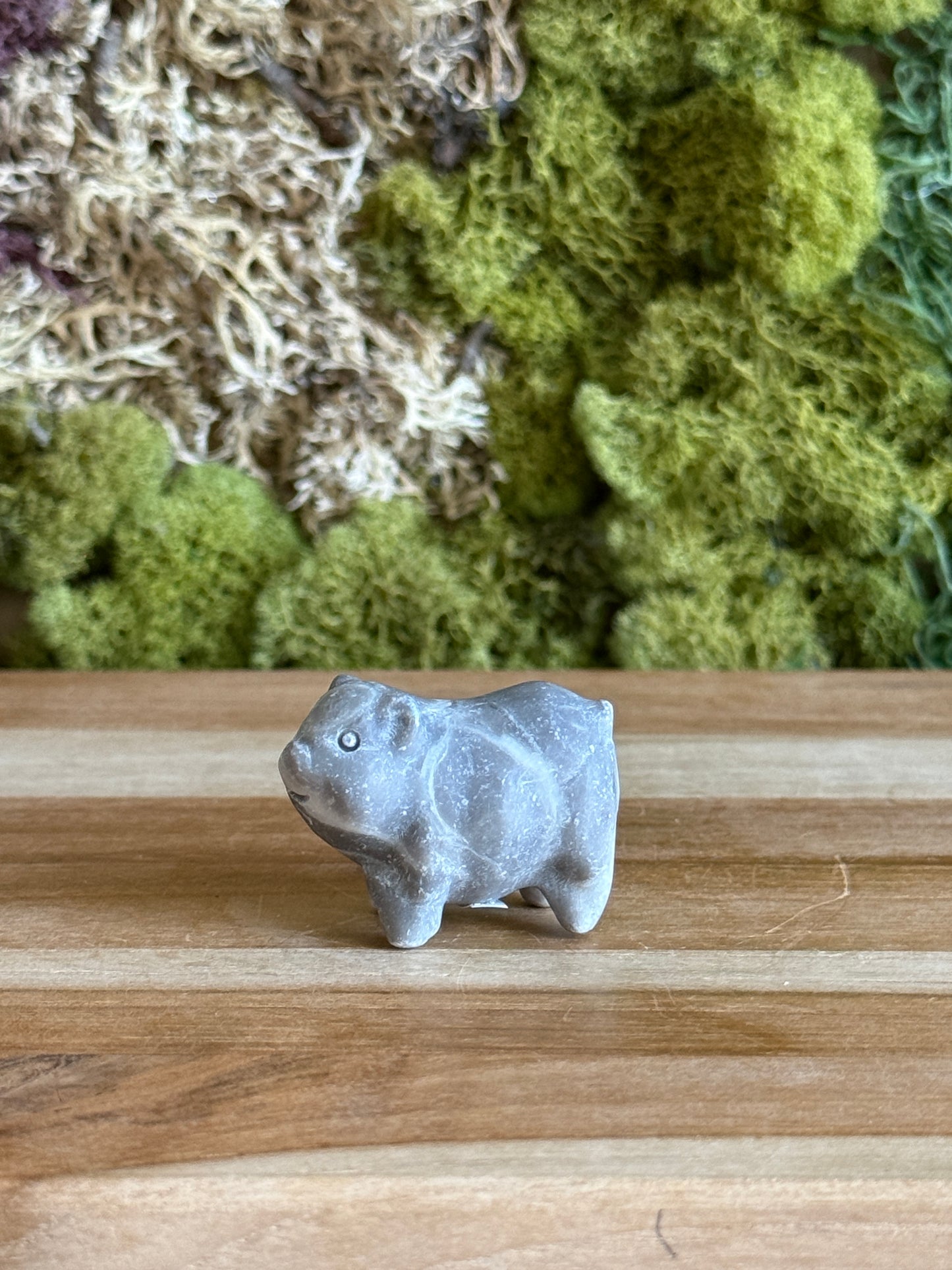 JASPER PIG
