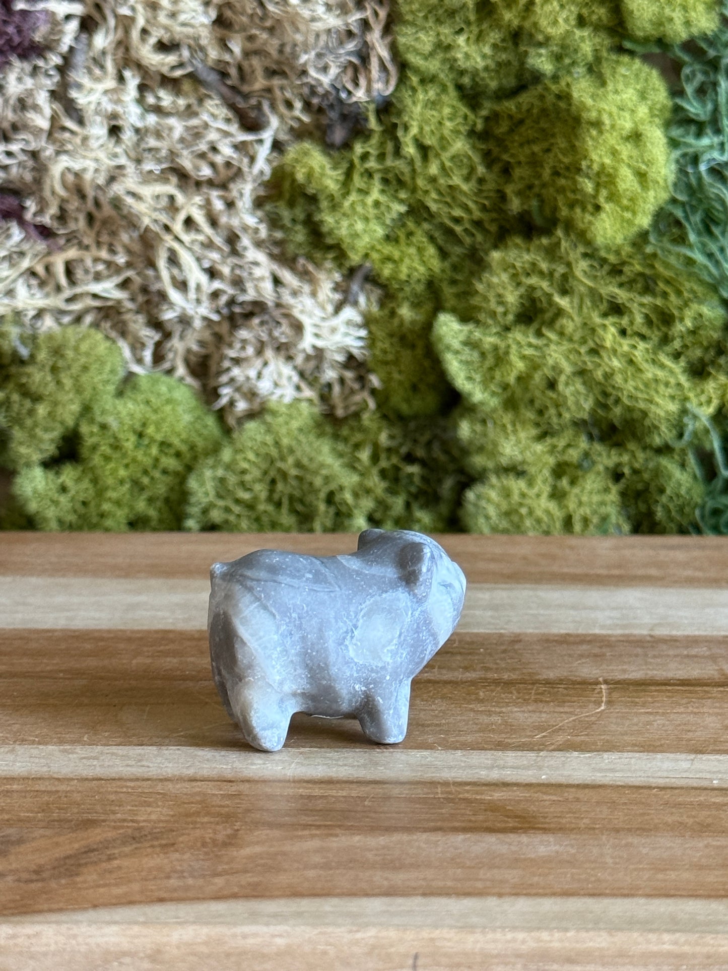 JASPER PIG