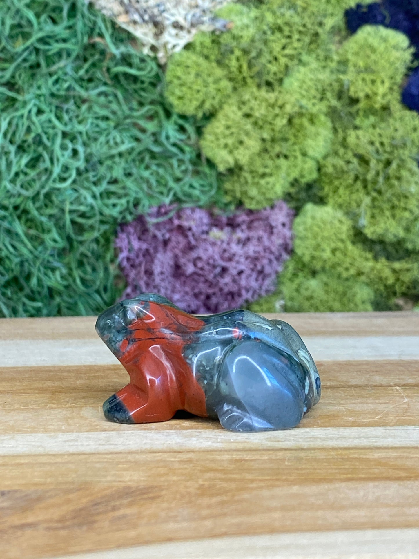 BLOODSTONE FROG