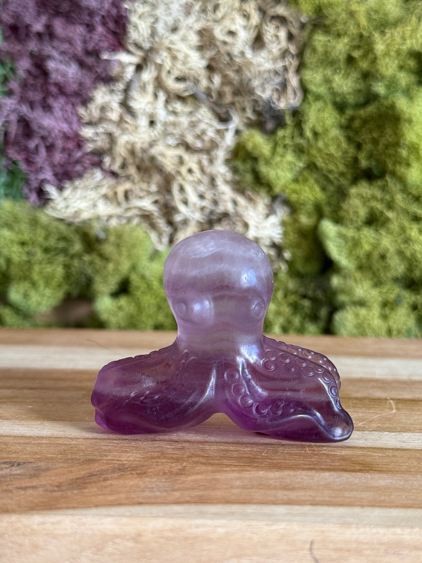 PURPLE FLUORITE OCTOPUS