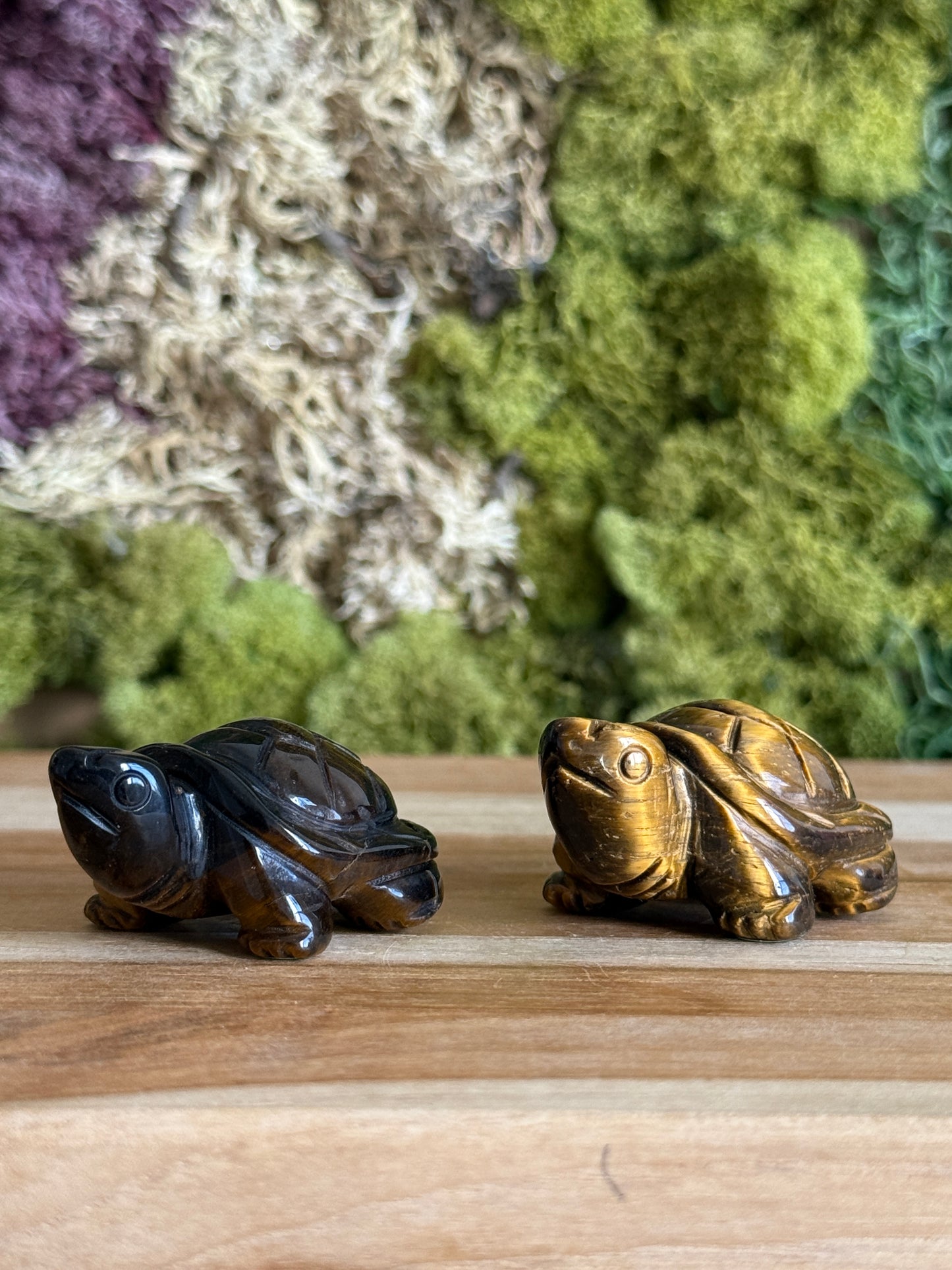 TIGERS EYE TURTLE