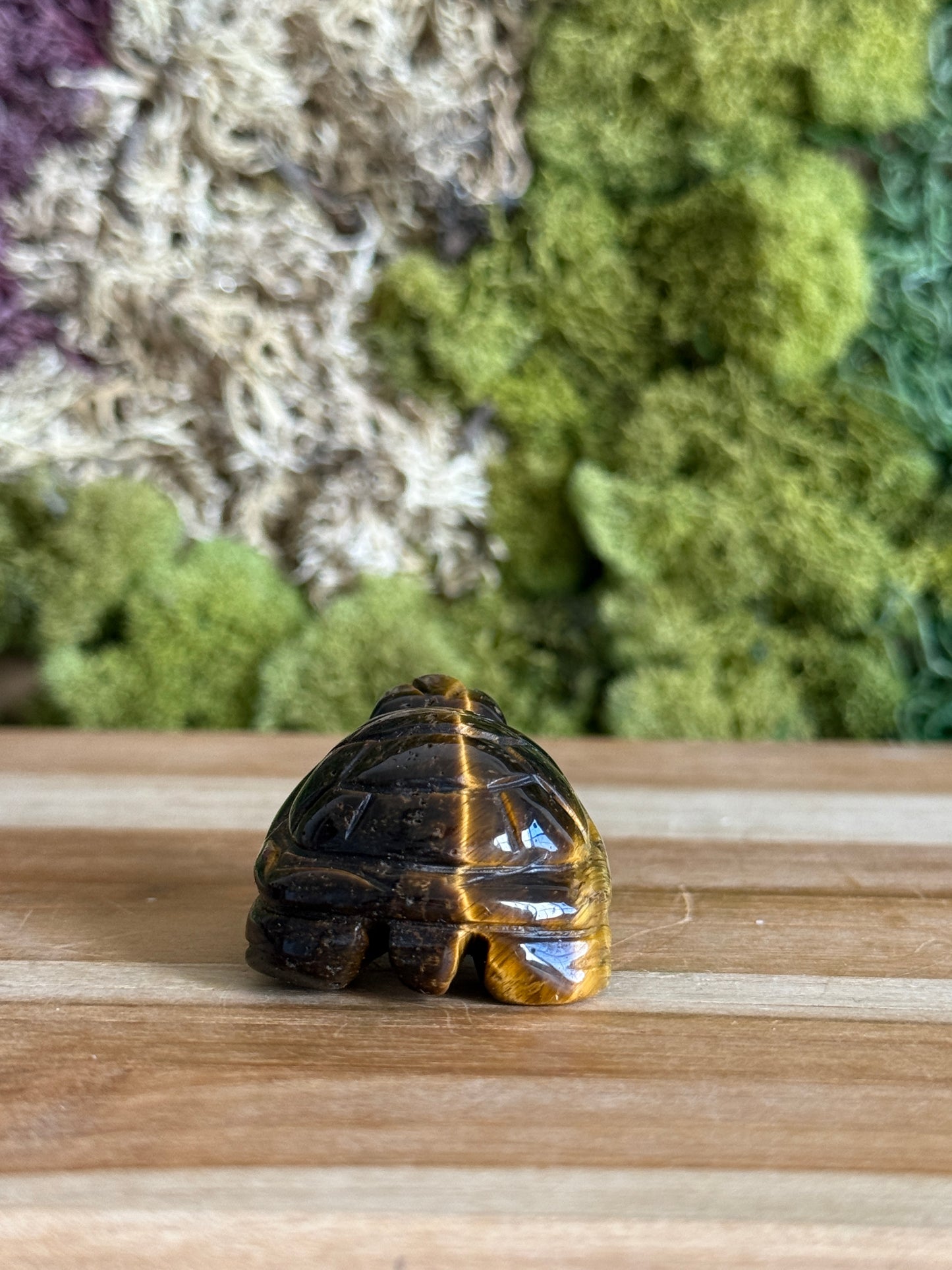 TIGERS EYE TURTLE