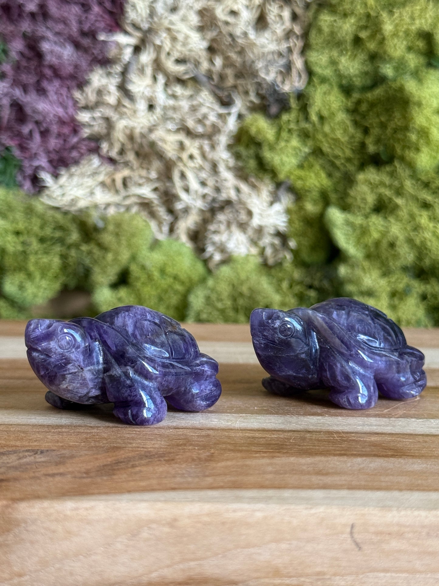 AMETHYST TURTLE