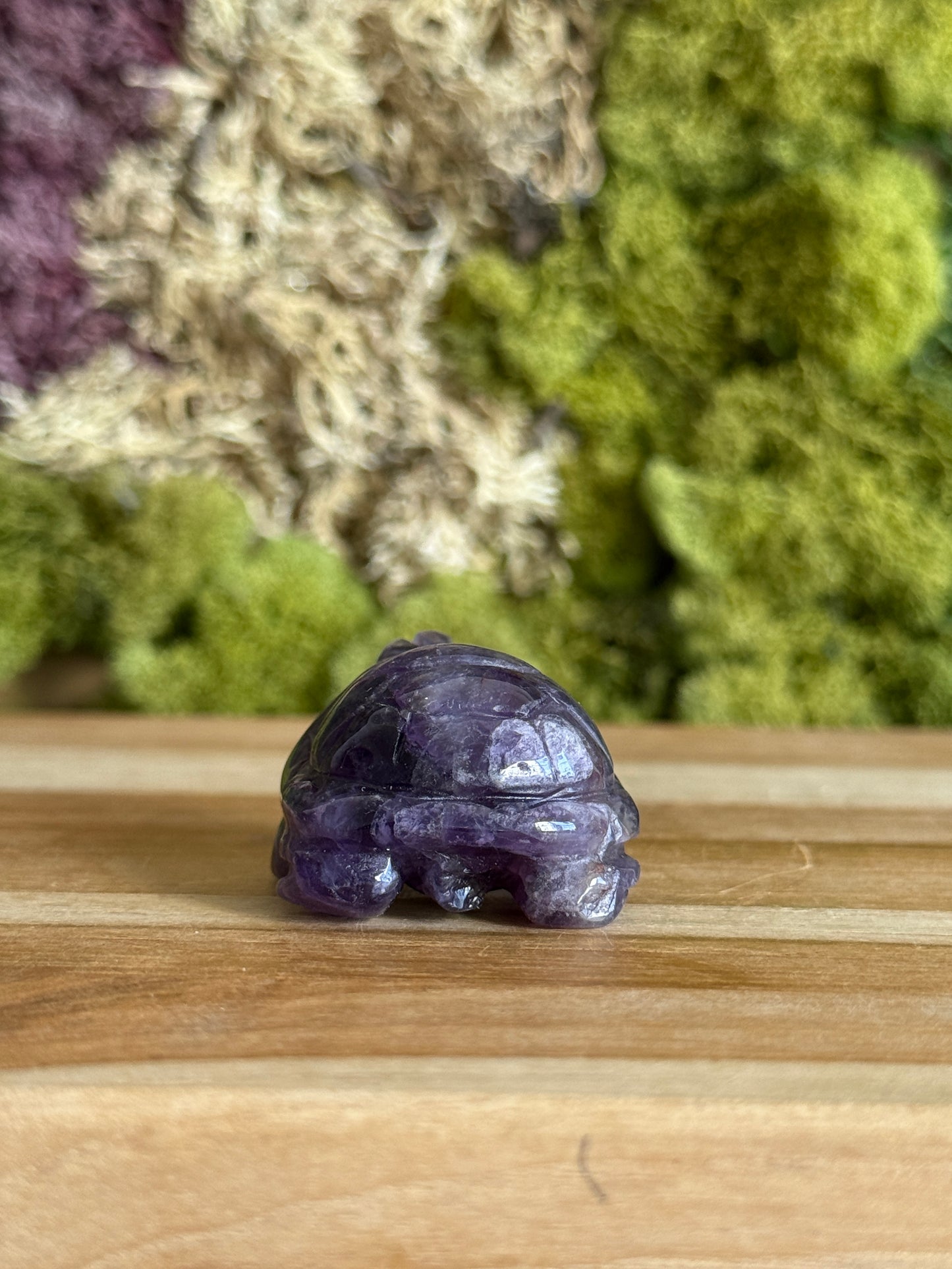 AMETHYST TURTLE