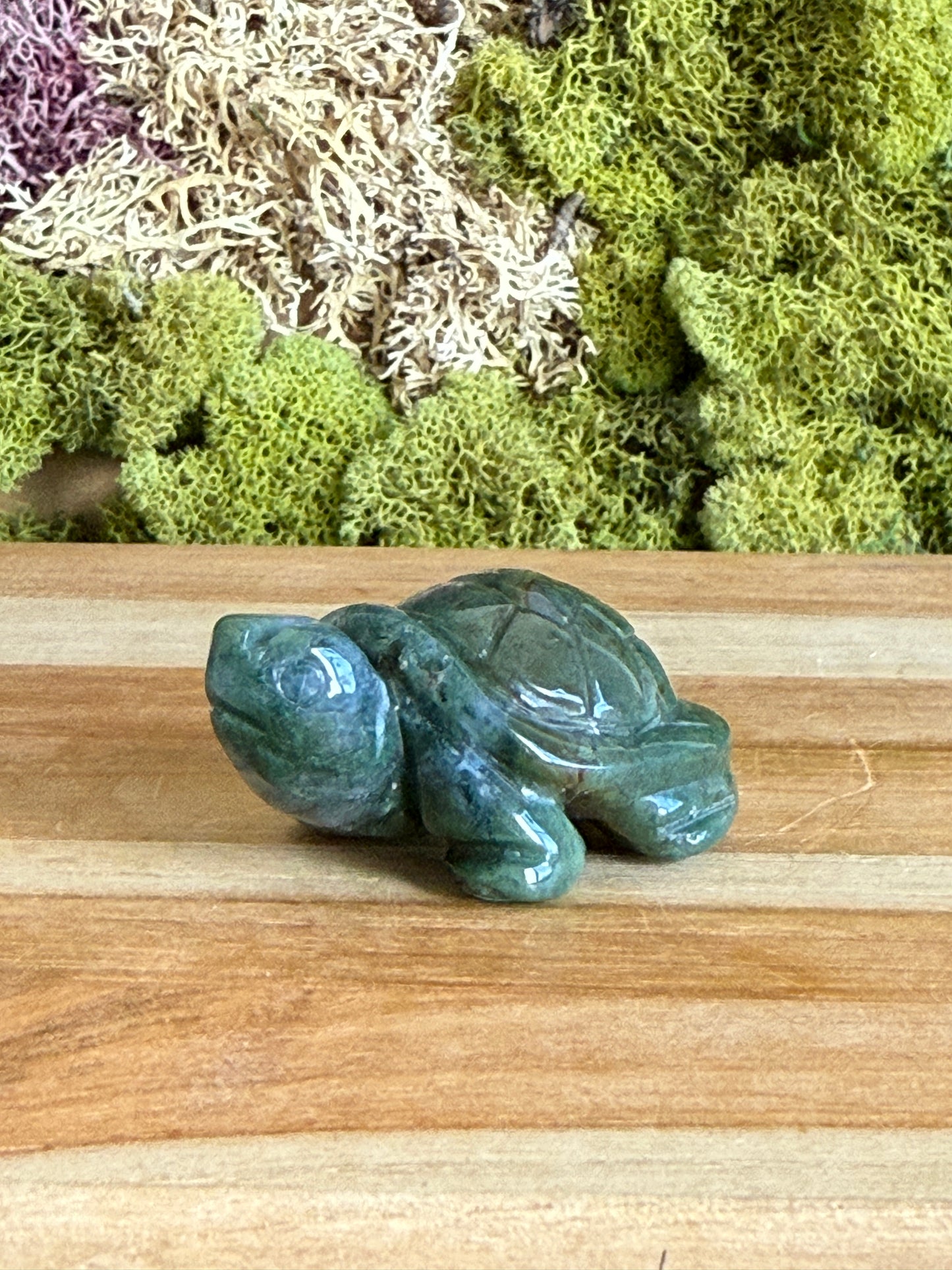 MOSS AGATE TURTLE