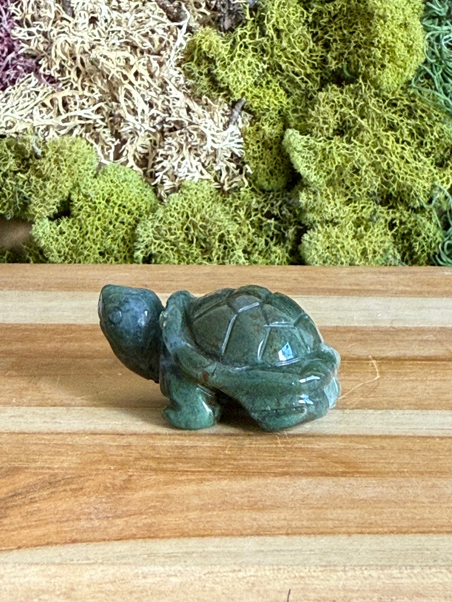 MOSS AGATE TURTLE