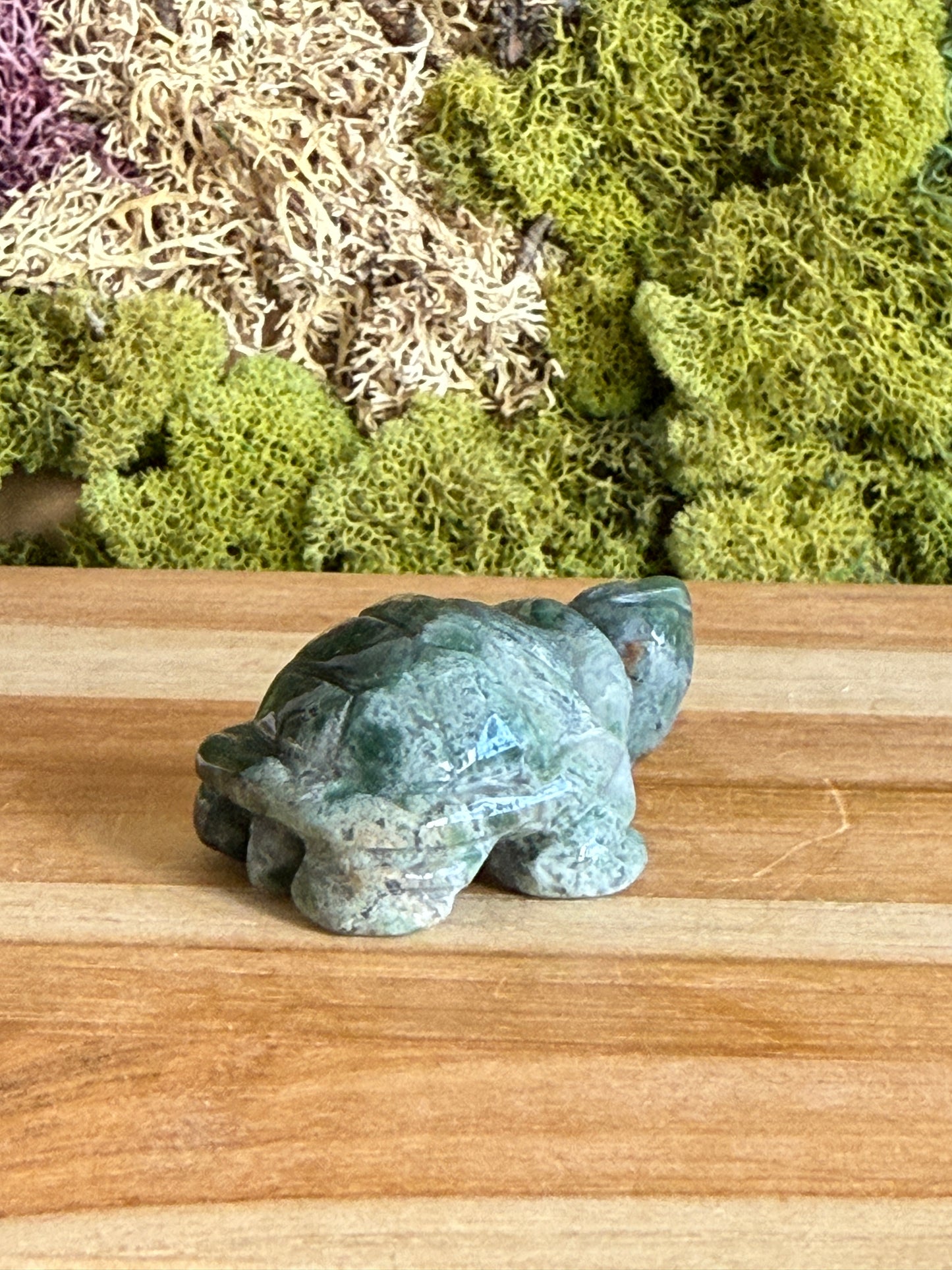 MOSS AGATE TURTLE