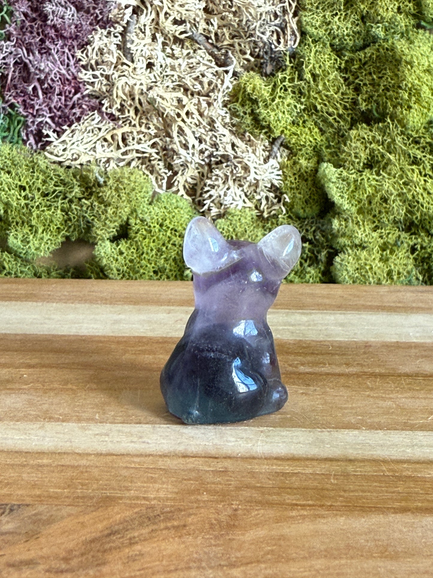RAINBOW FLUORITE FRENCHIE