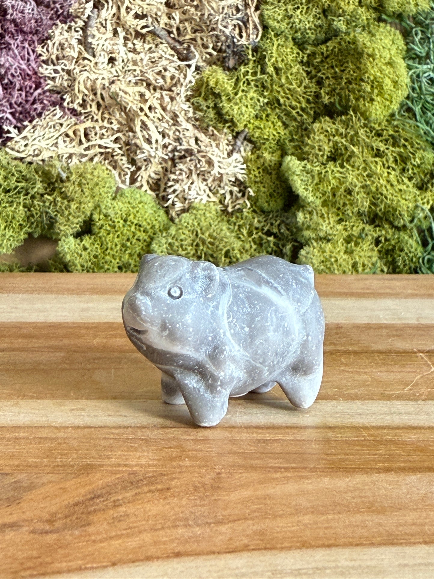 JASPER PIG