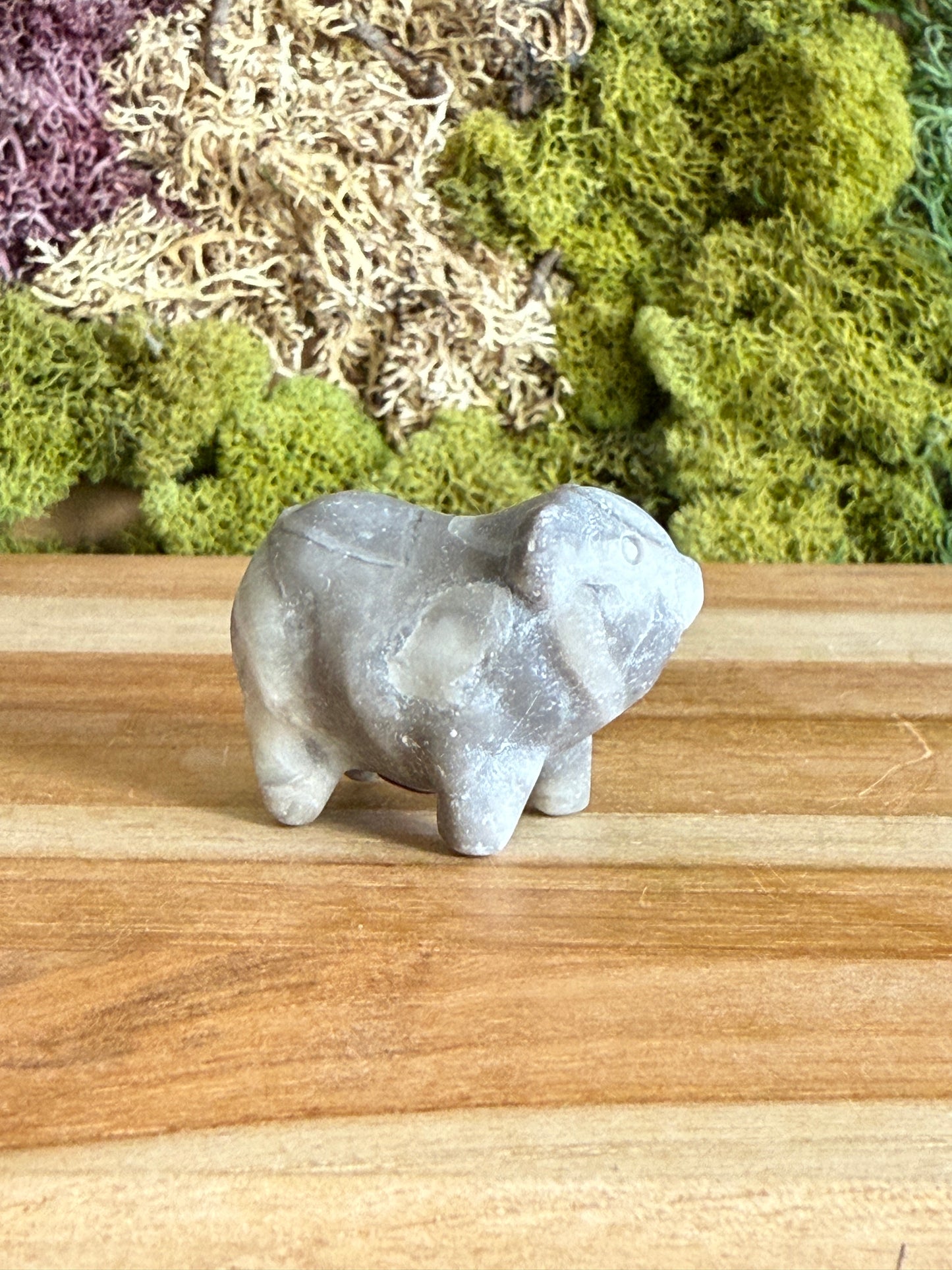 JASPER PIG