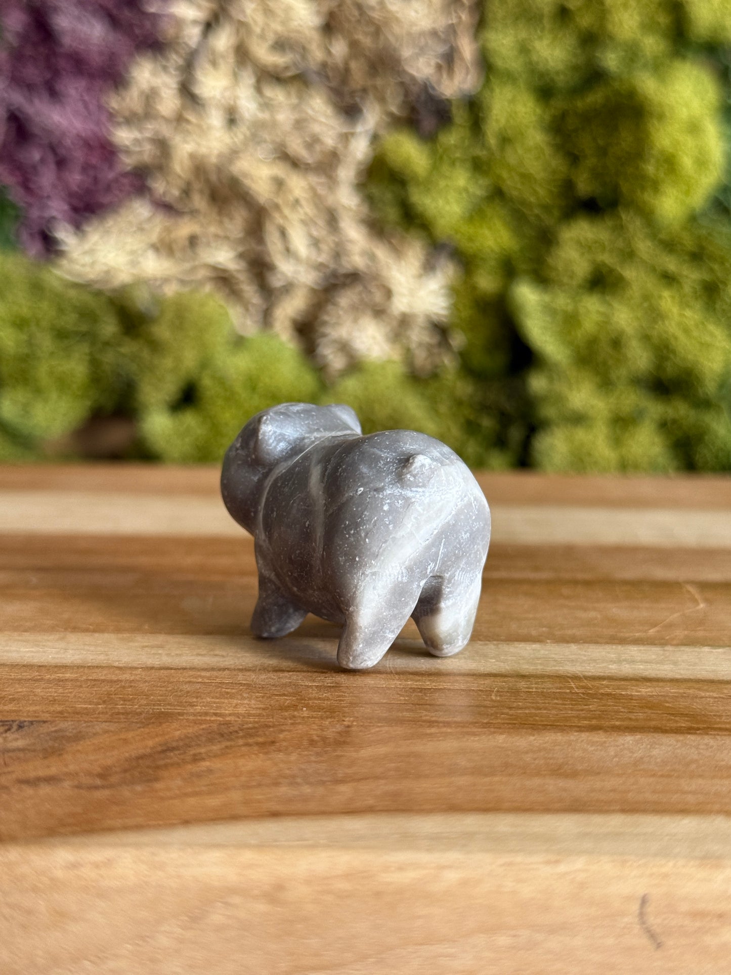JASPER PIG