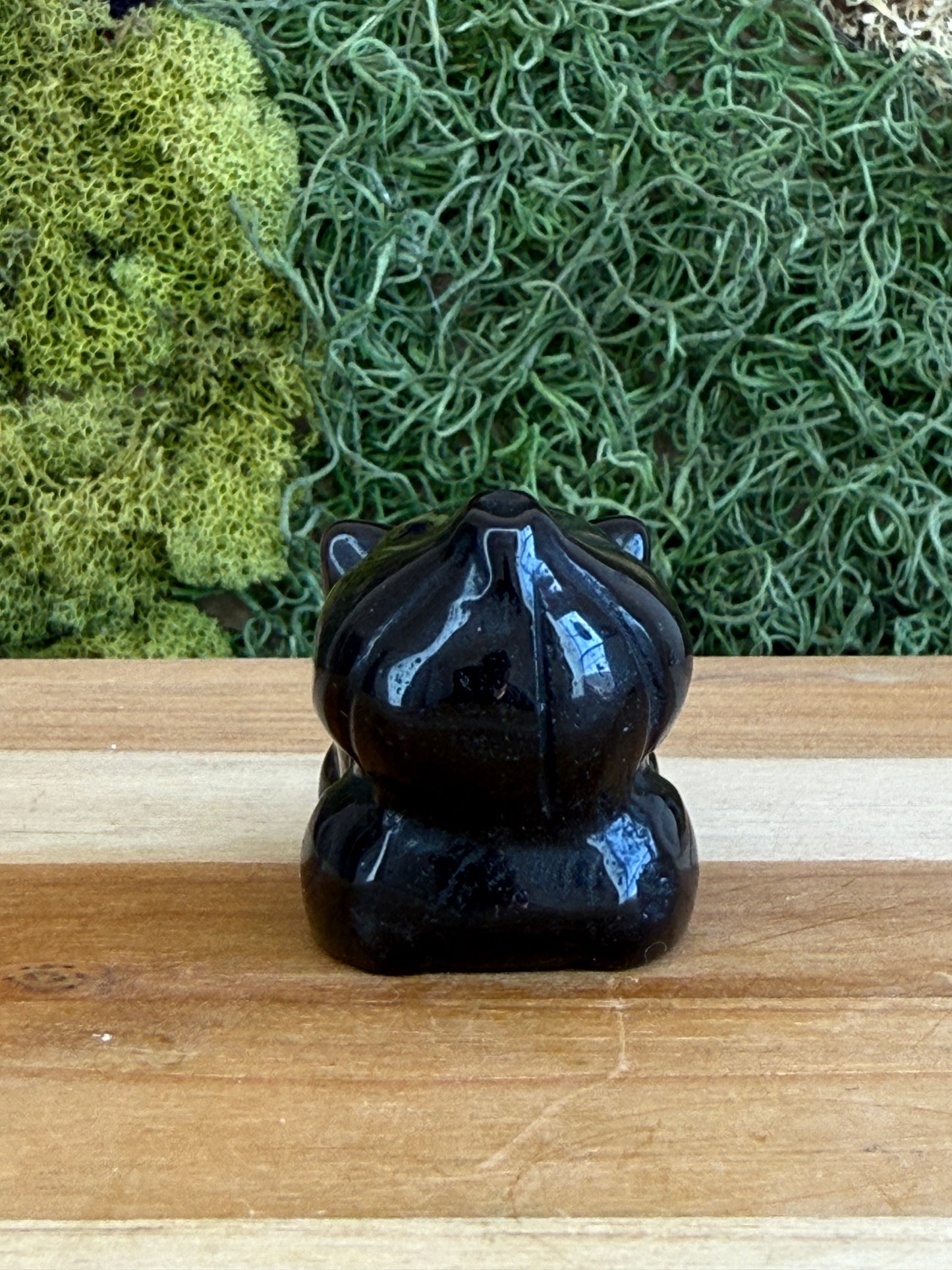 SILVER SHEEN OBSIDIAN BULBASAUR