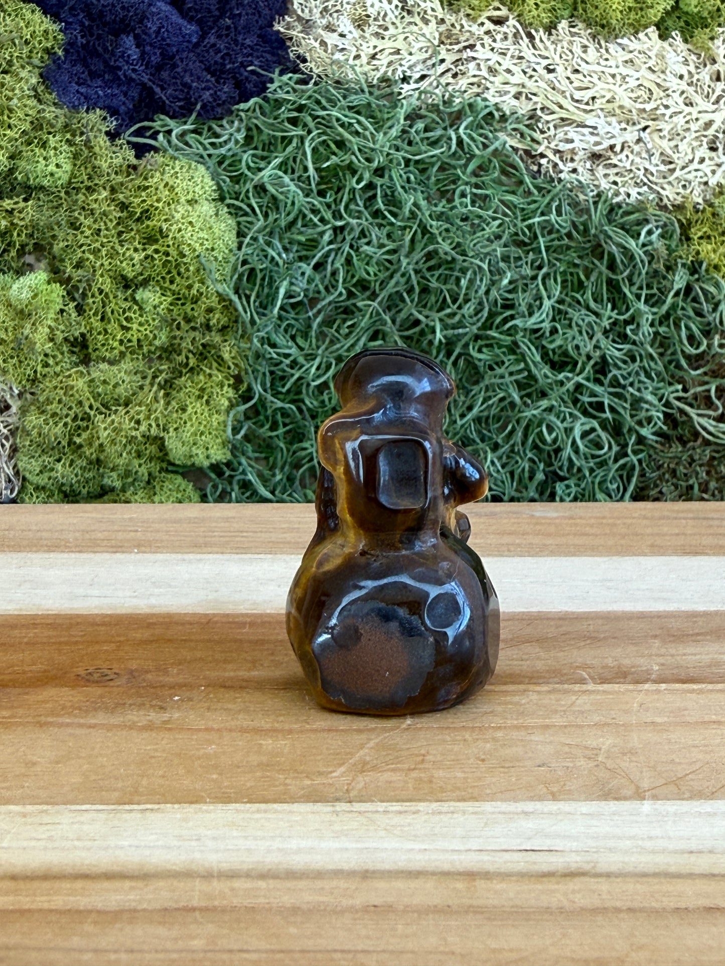 TIGERS EYE ASTRONAUT ON MOON