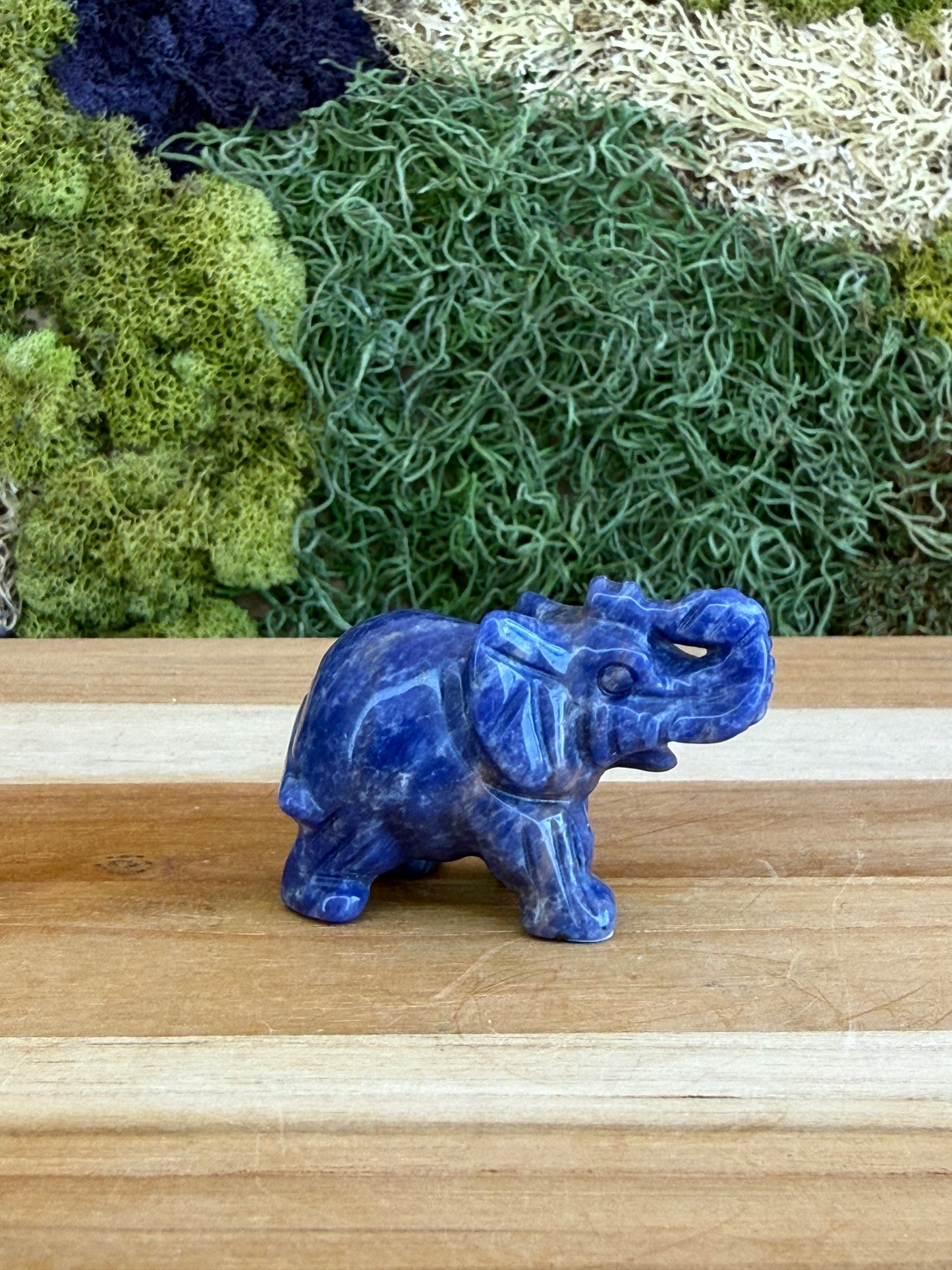 SODALITE ELEPHANT