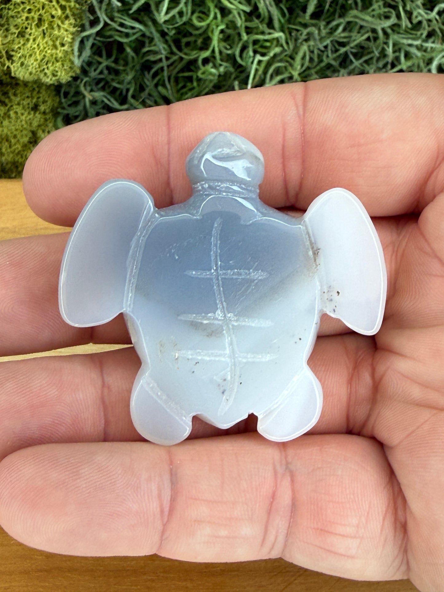 AGATE OCEAN TURTLE WITH DRUZY