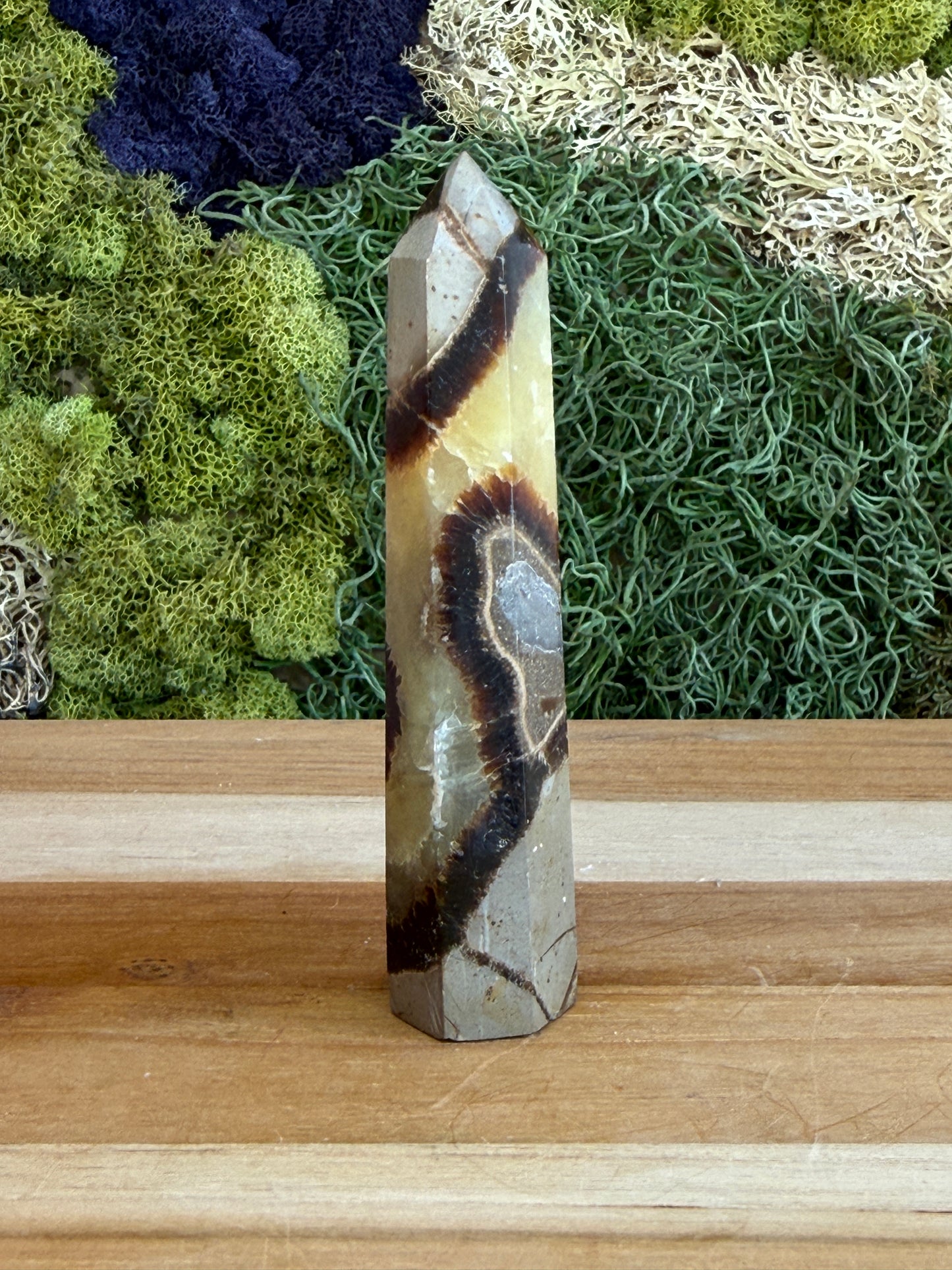 SEPTARIAN TOWER