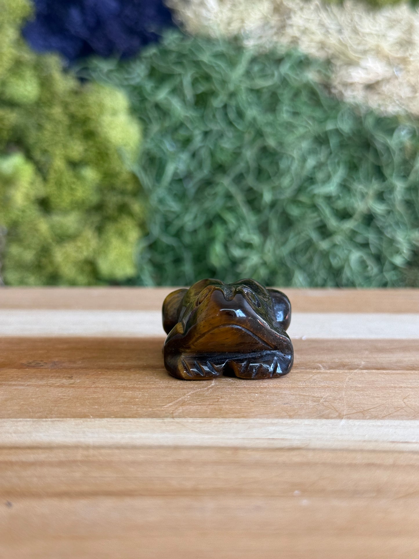 TIGERS EYE FROG