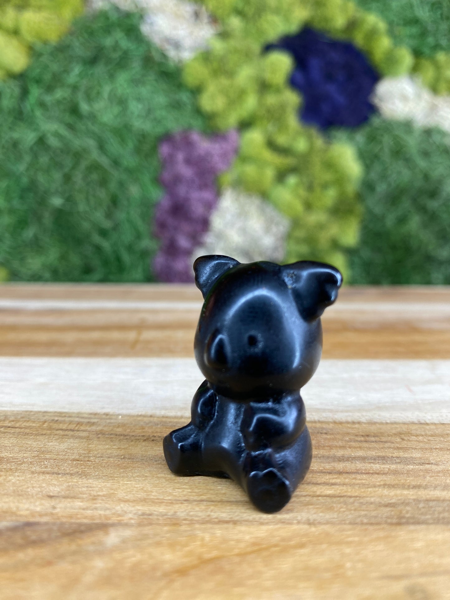 OBSIDIAN KOALA