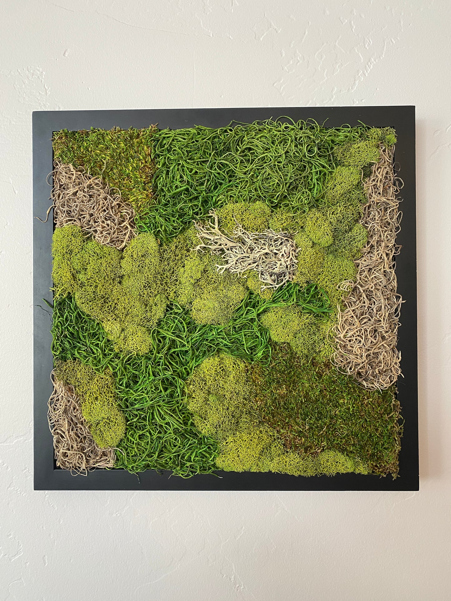 MOSS FRAME