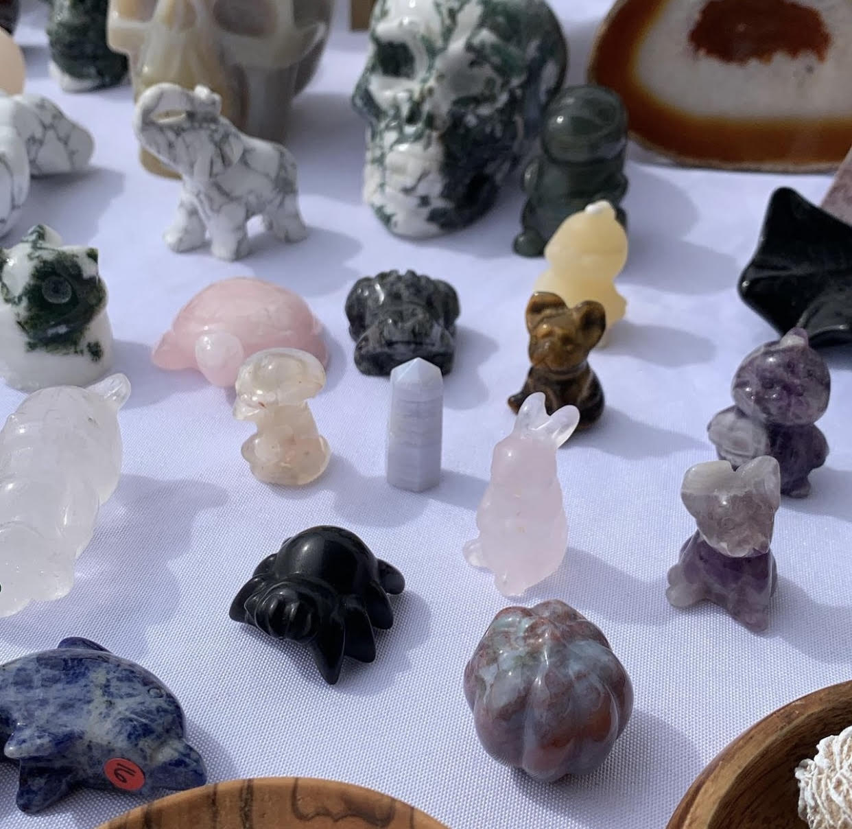 Cory LIVE SALE 2/3/22