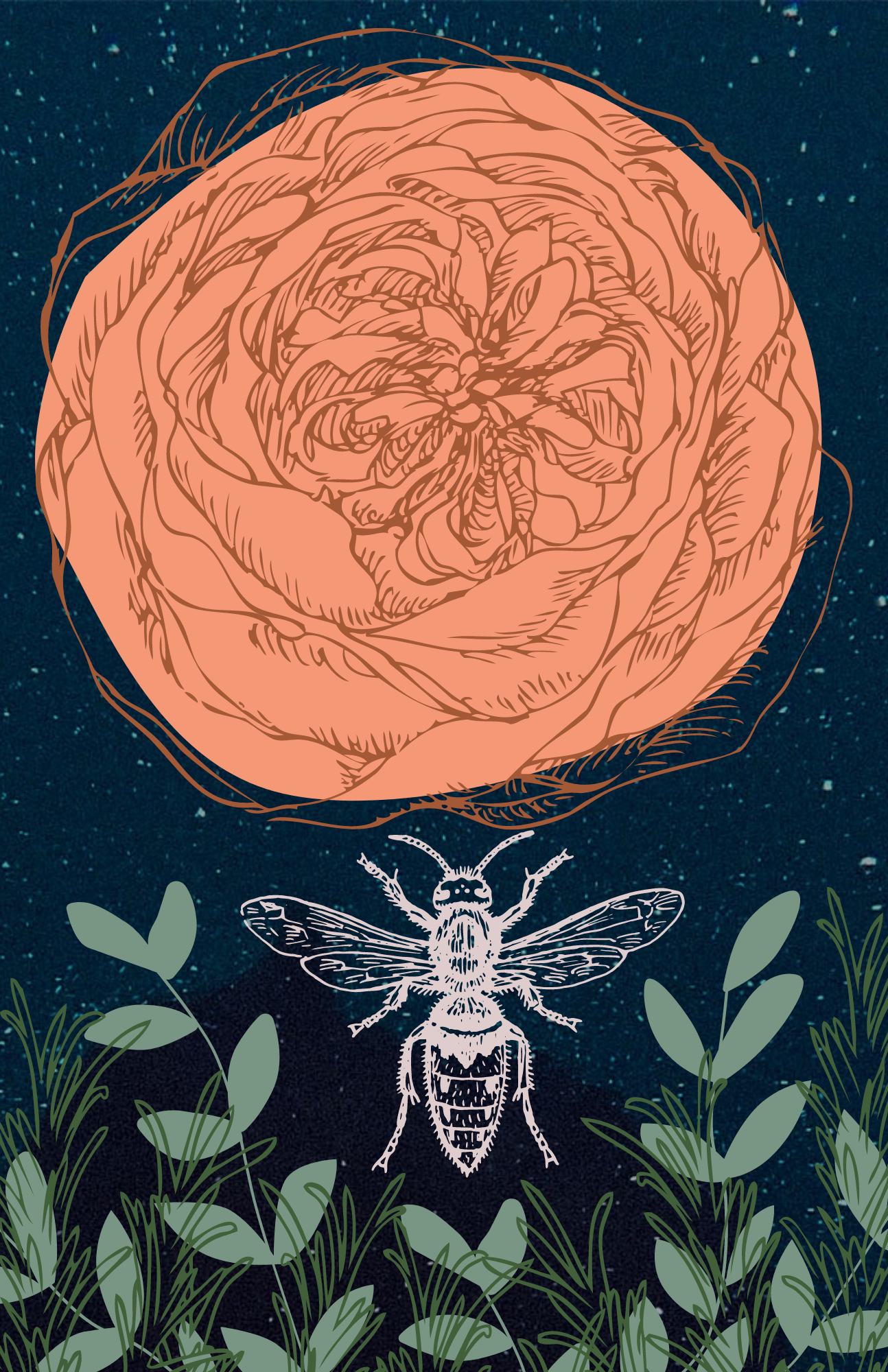 MIDNIGHT BEE PRINT 11x17