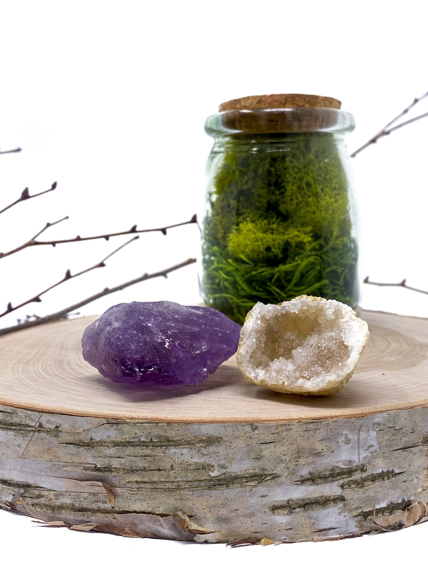 CRACK YOUR OWN GEODE AMETHYST & GEODE CRYSTAL TERRARIUM