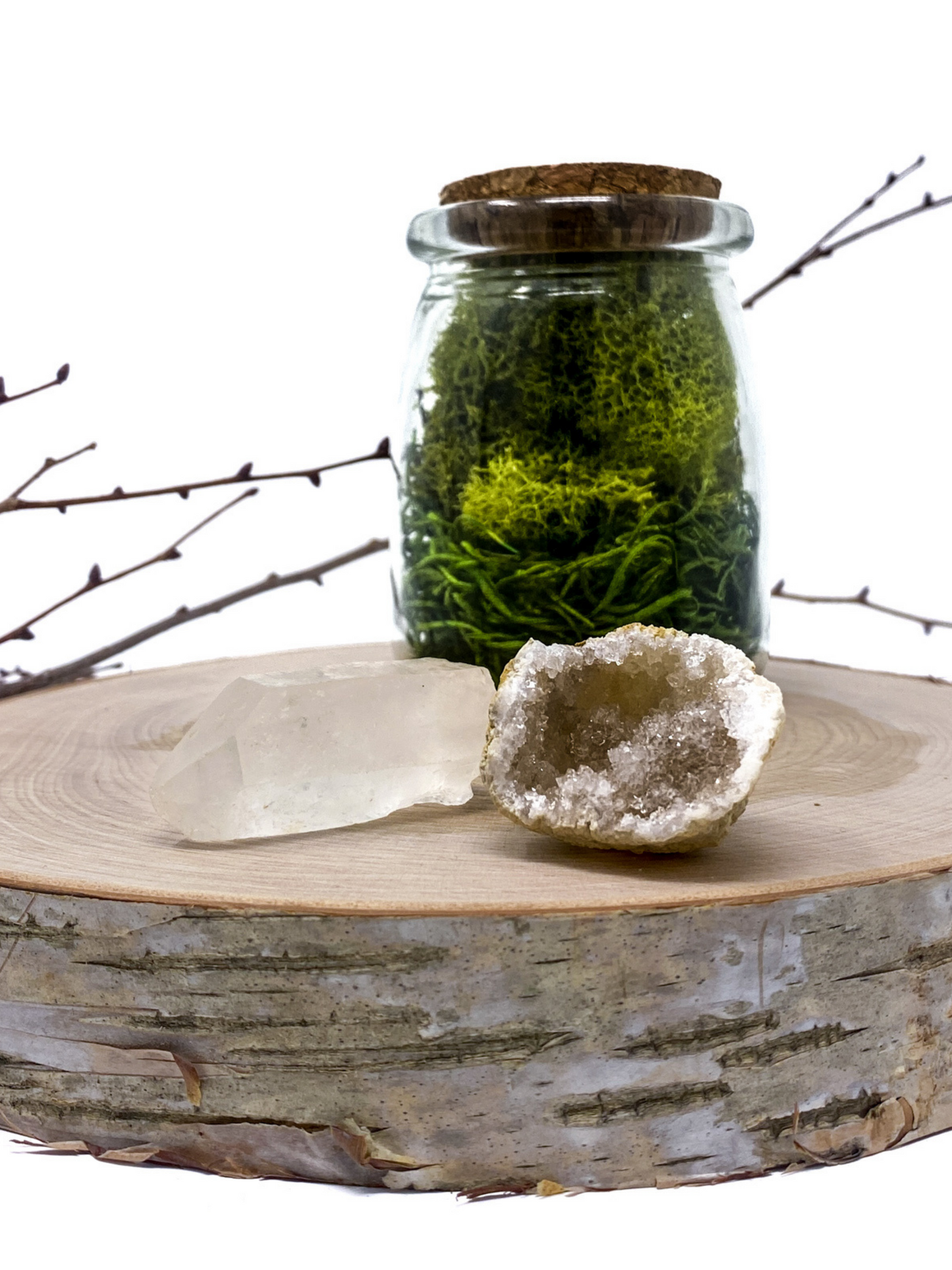 CRACK YOUR OWN GEODE CLEAR QUARTZ & GEODE CRYSTAL TERRARIUM