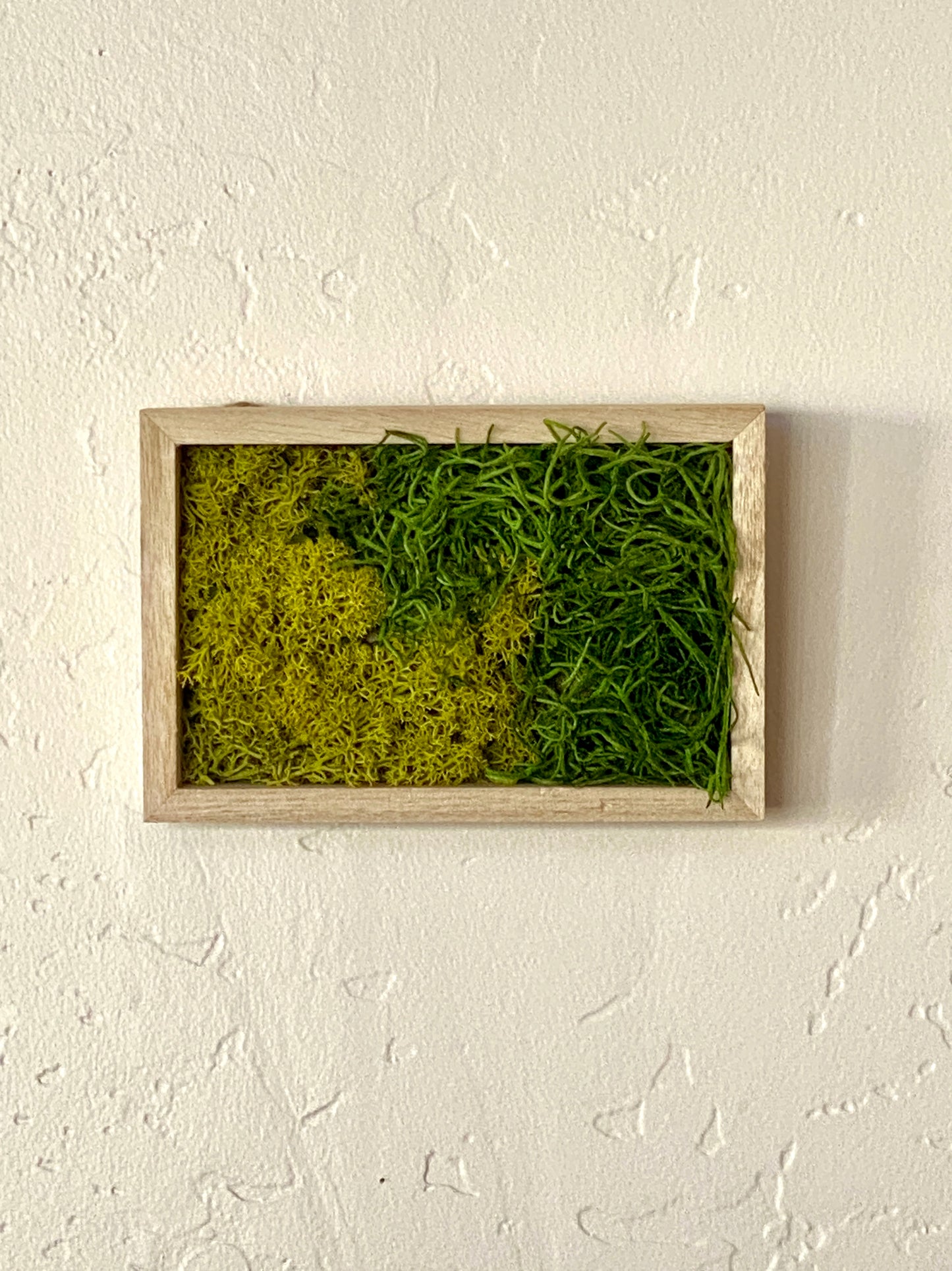 MOSS FRAME