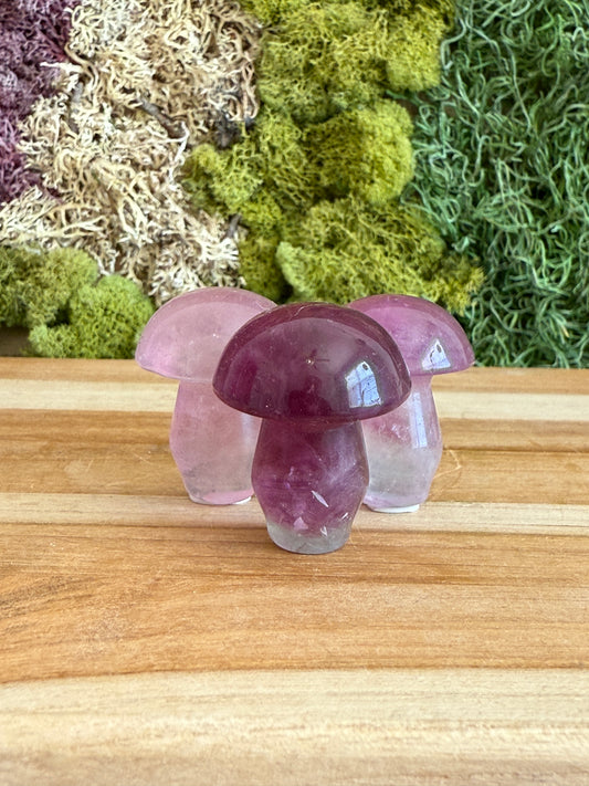PURPLE FLUORITE MUSHROOM