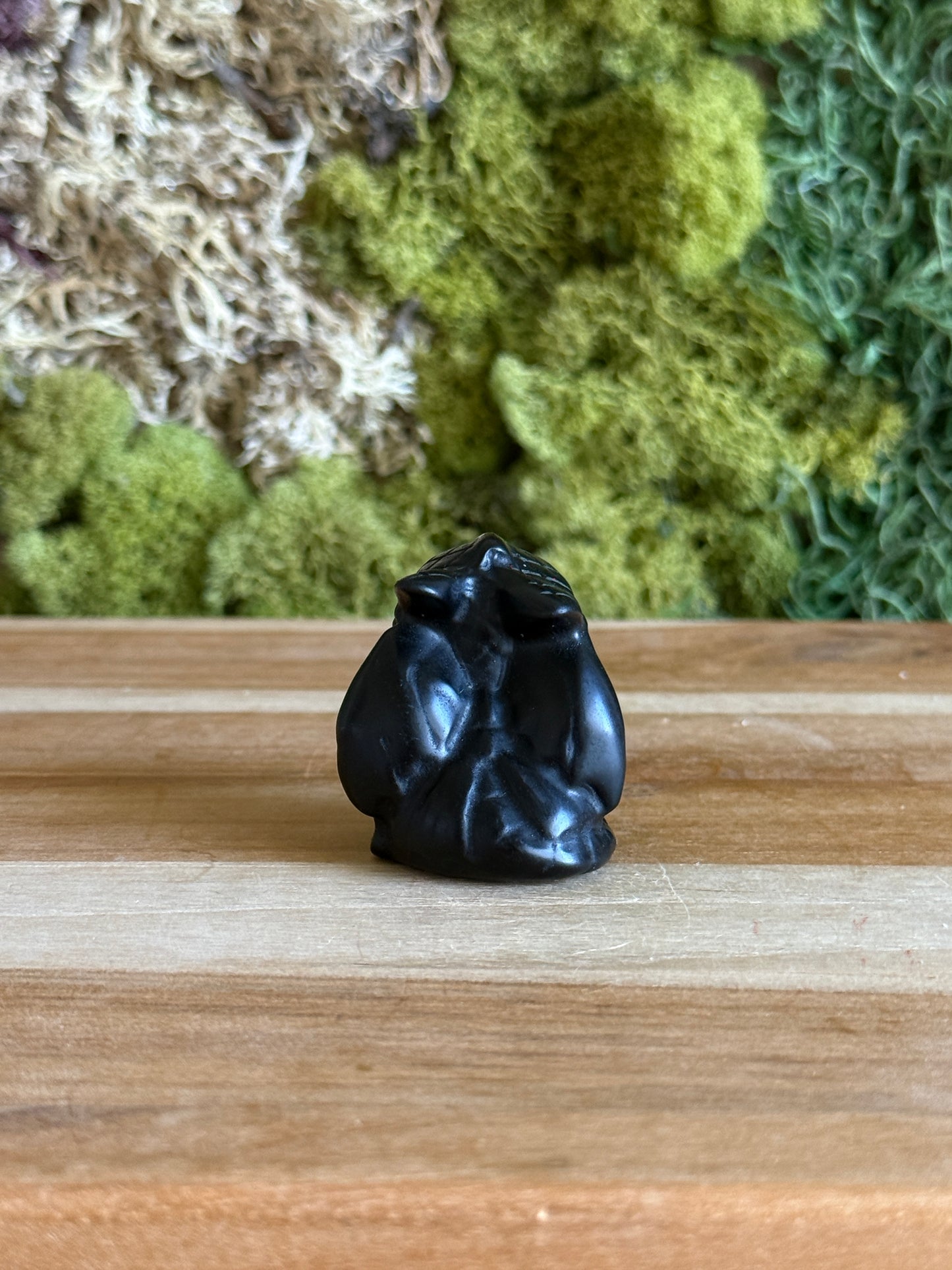 OBSIDIAN TOOTHLESS
