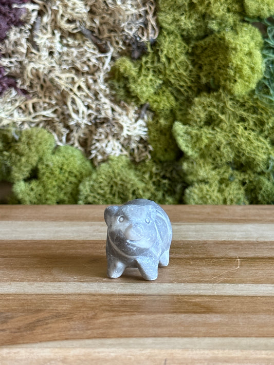 JASPER PIG