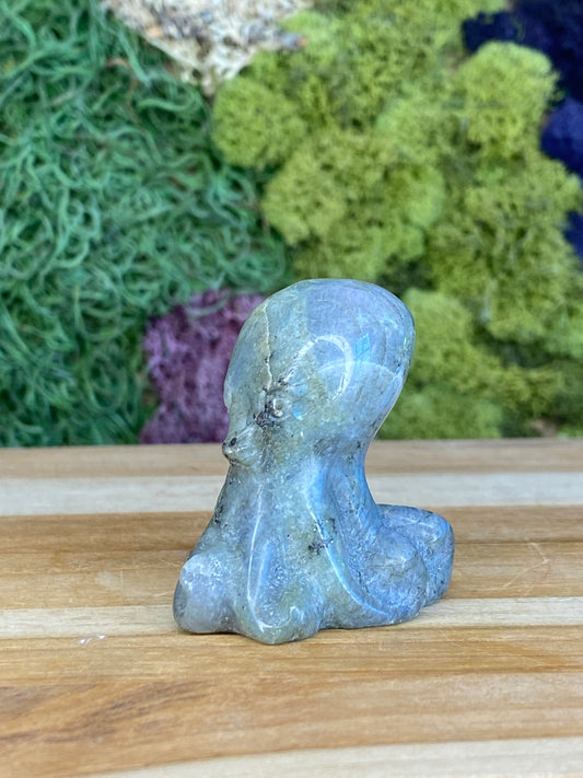 LABRADORITE OCTOPUS