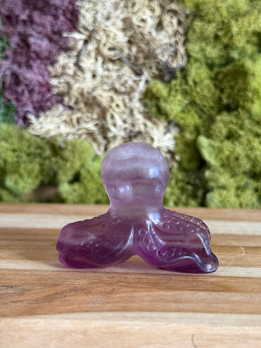 PURPLE FLUORITE OCTOPUS