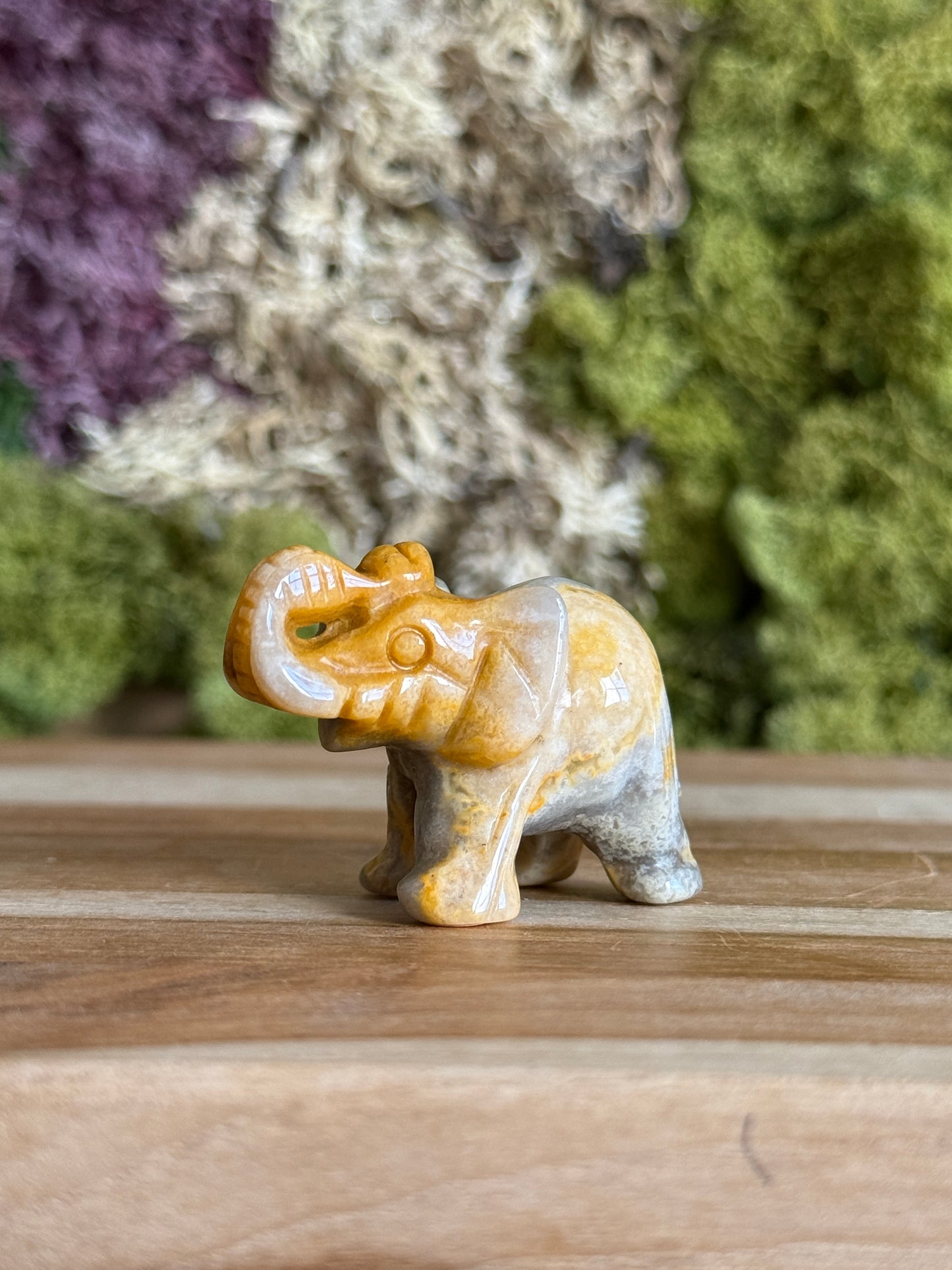 JASPER ELEPHANT