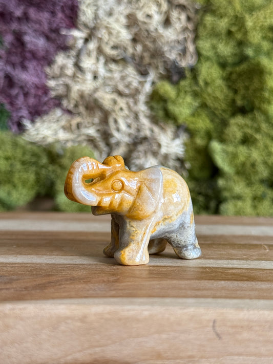 JASPER ELEPHANT