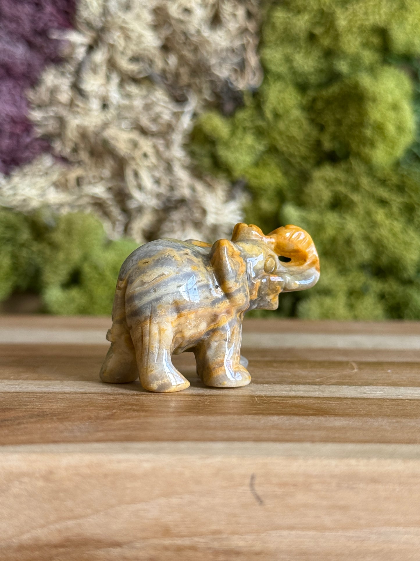 JASPER ELEPHANT