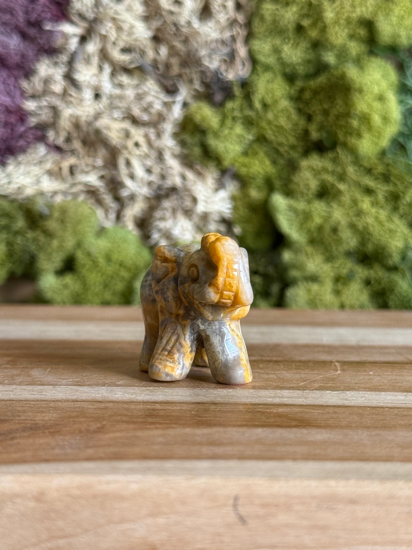 JASPER ELEPHANT