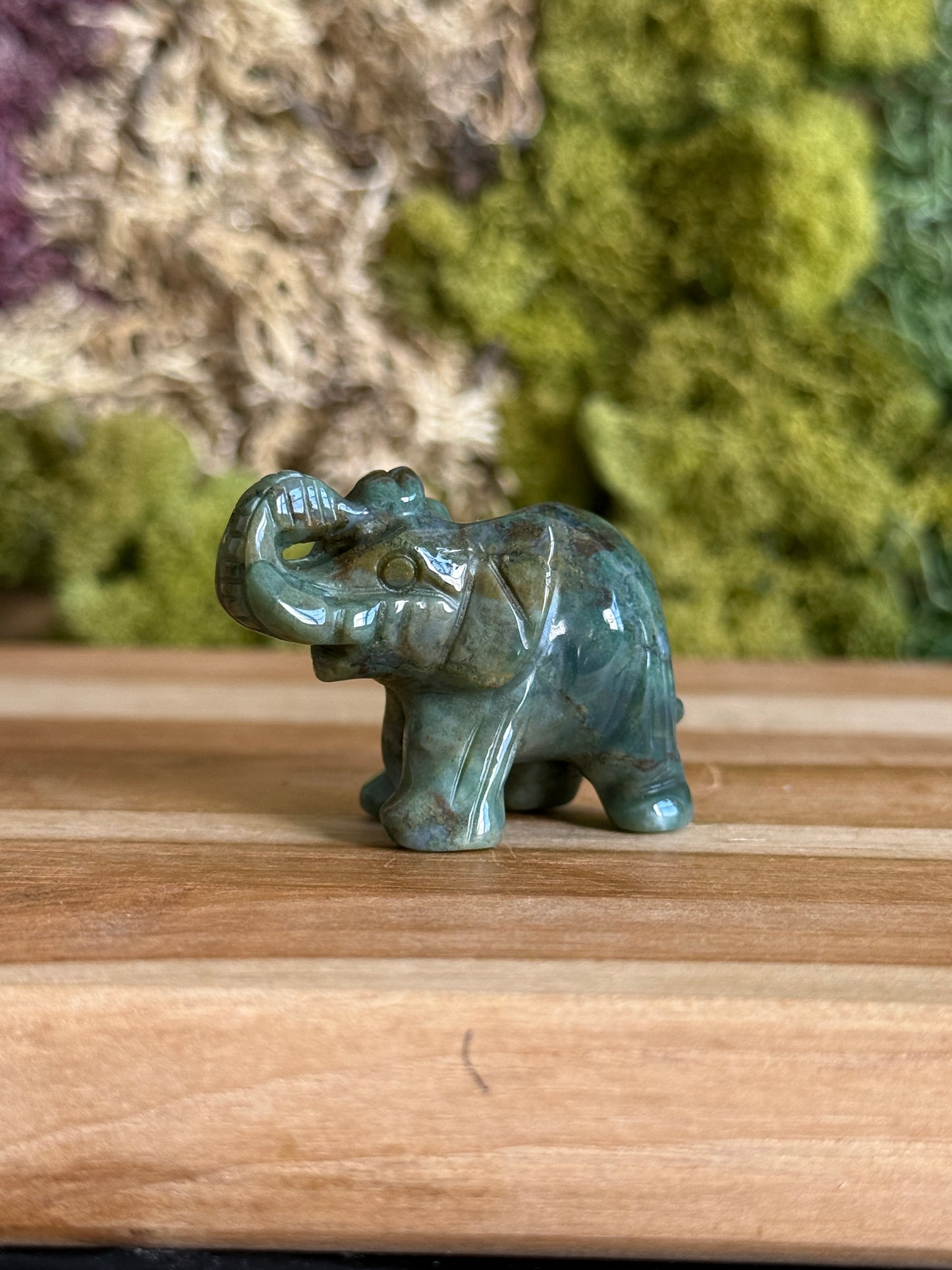 OCEAN JASPER ELEPHANT
