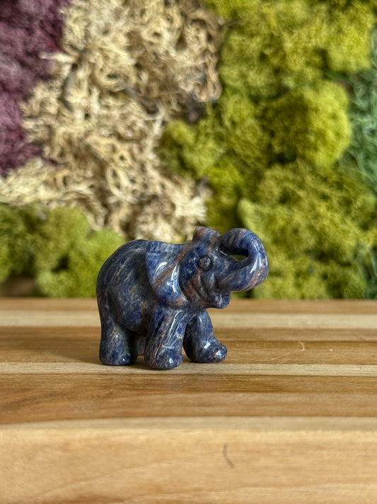 SODALITE ELEPHANT
