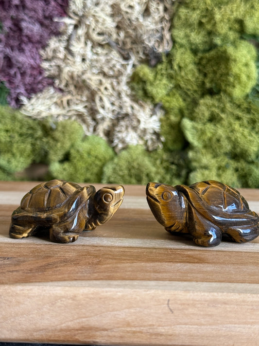TIGERS EYE TURTLE