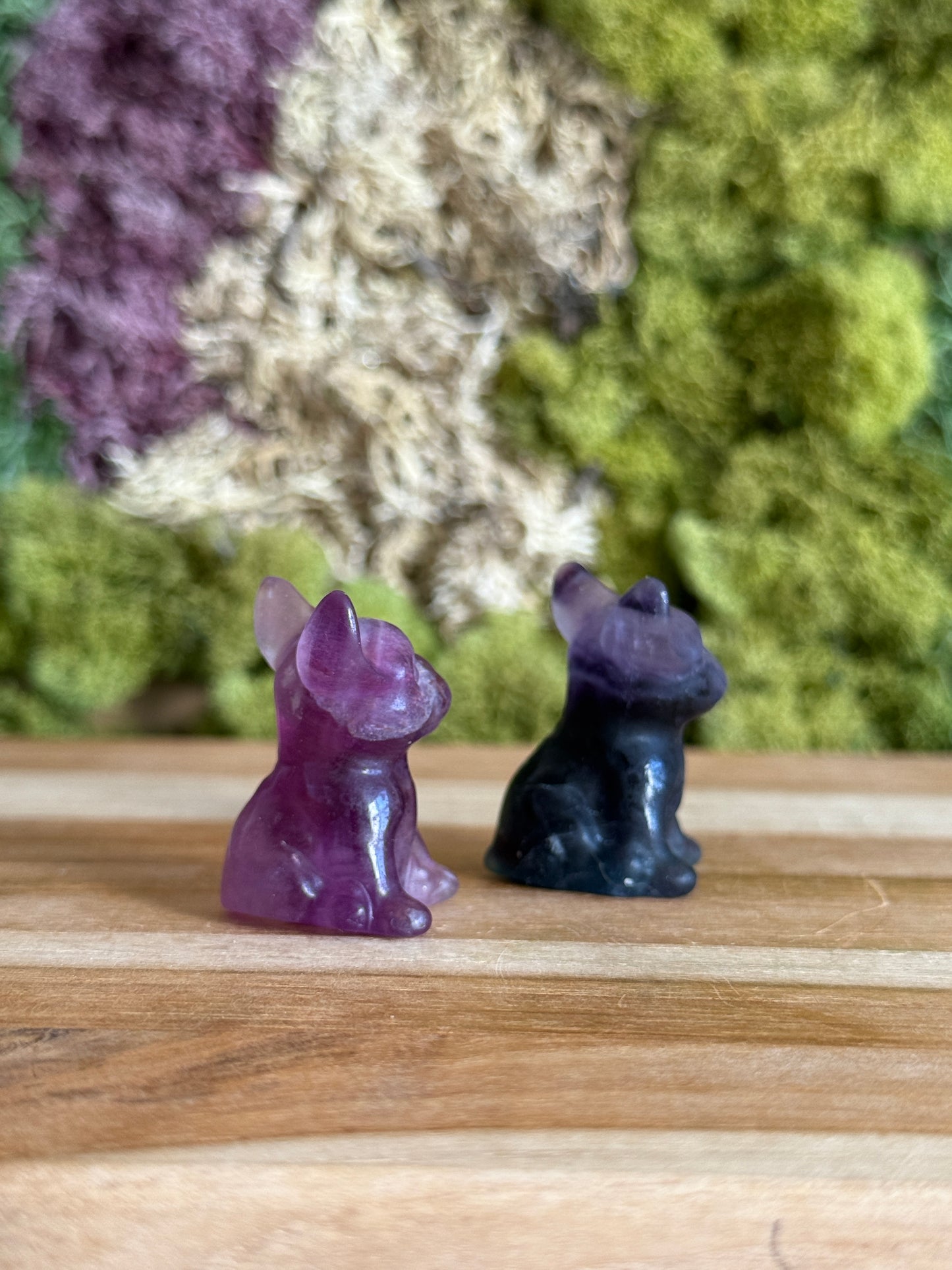 PURPLE FLUORITE FRENCHIE