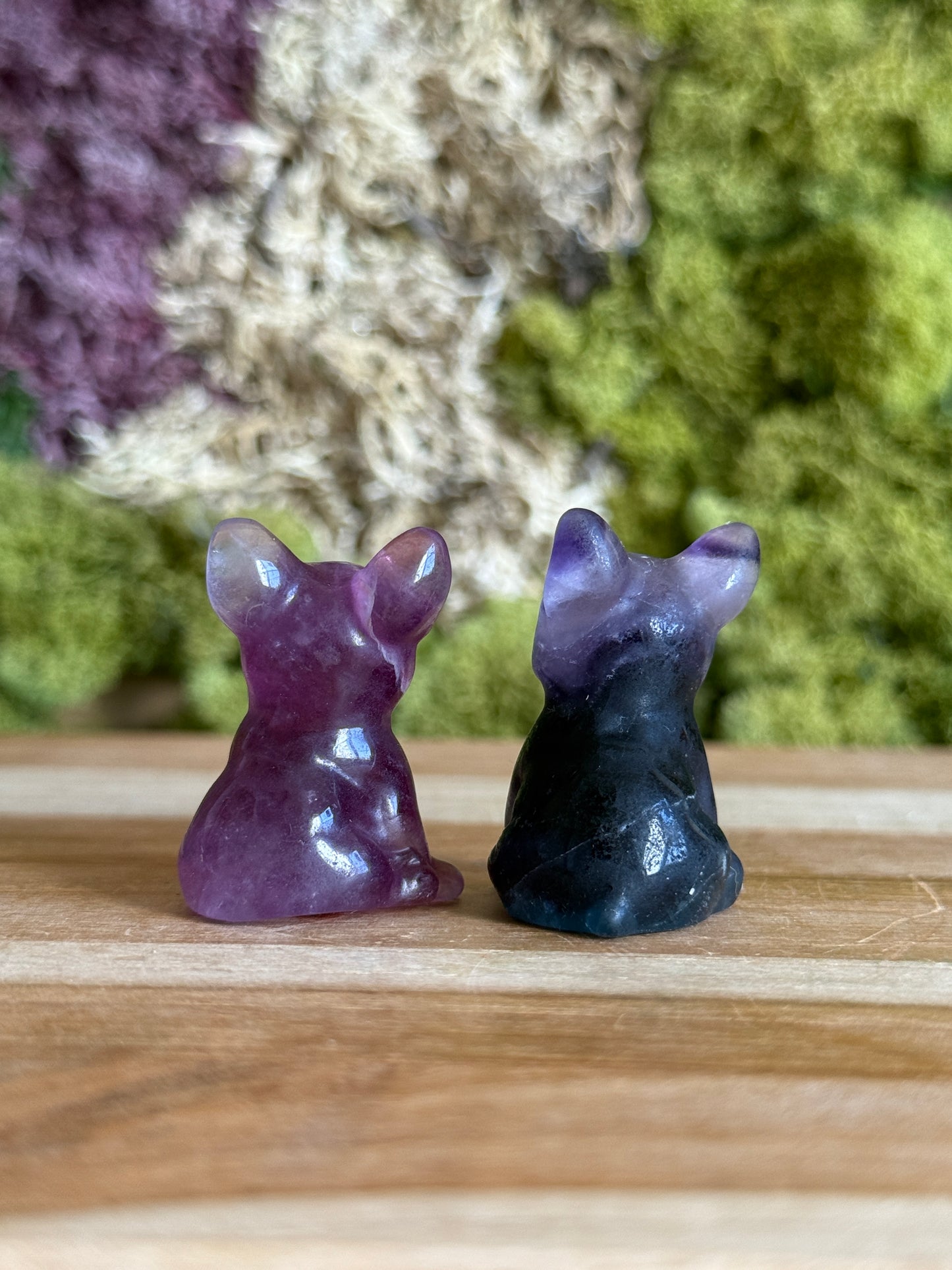 PURPLE FLUORITE FRENCHIE