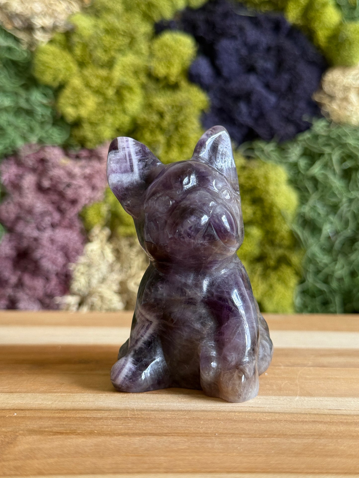 AMETHYST FRENCHIE XL