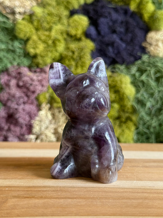 AMETHYST FRENCHIE XL