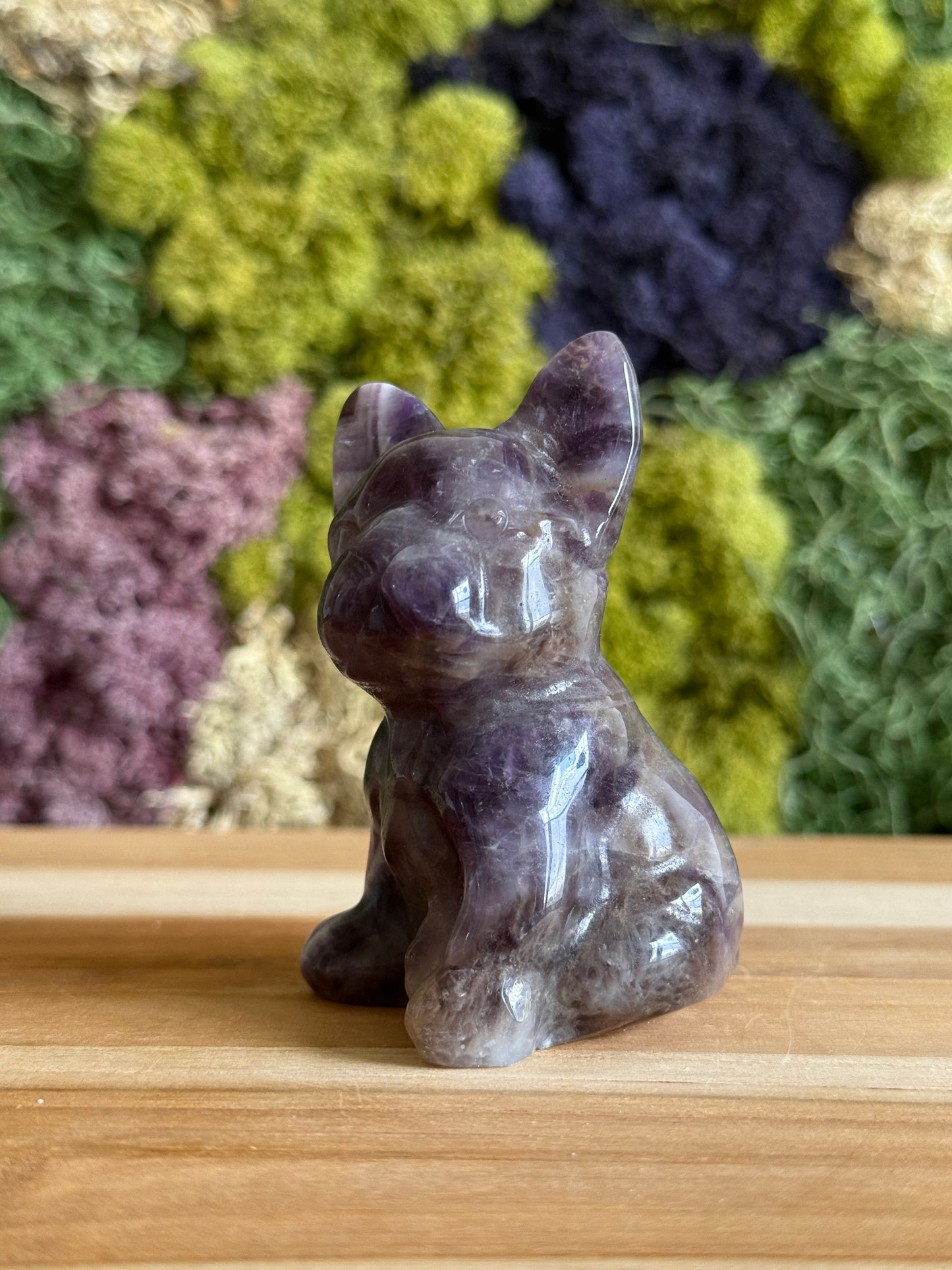 AMETHYST FRENCHIE XL
