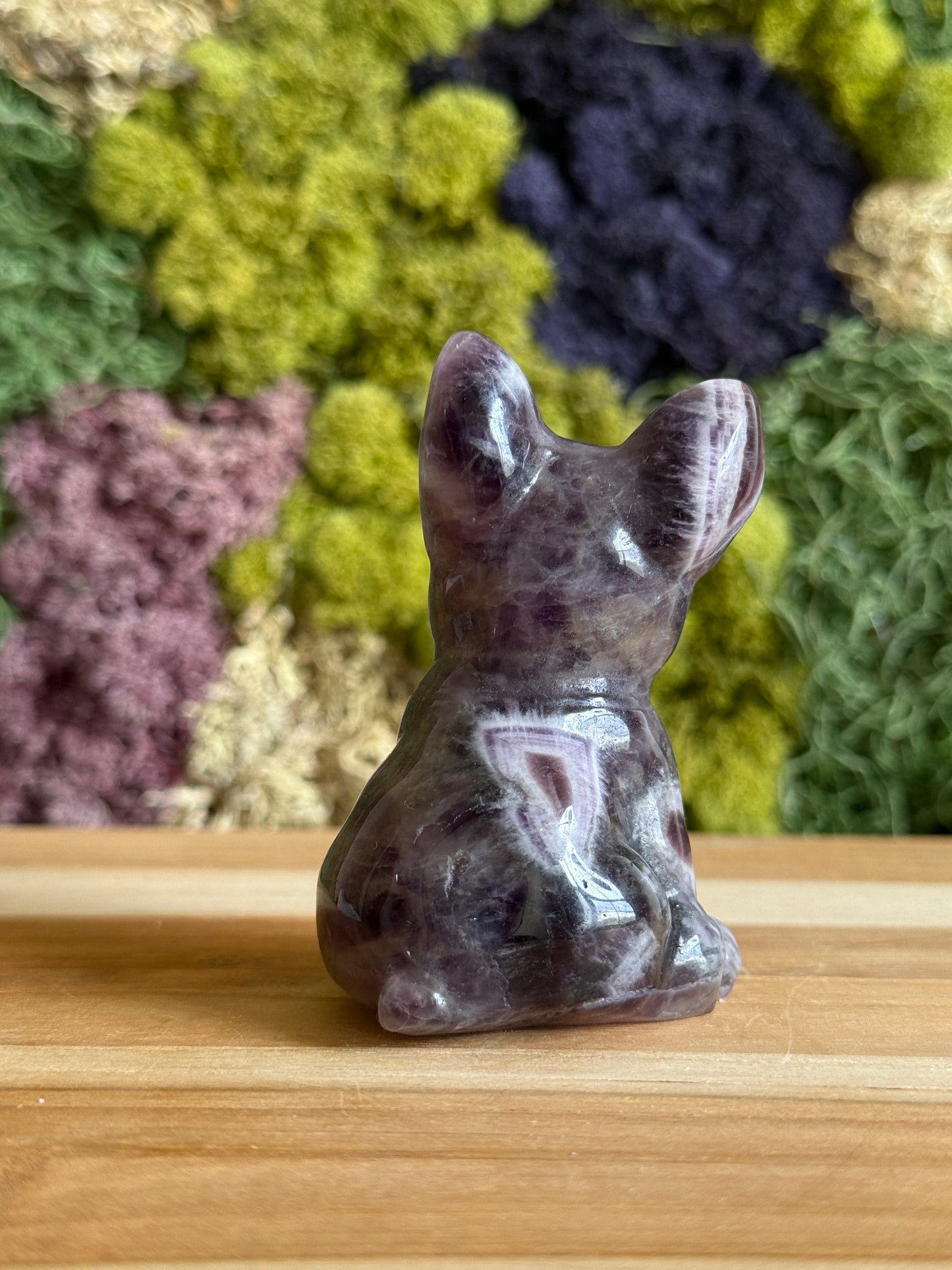 AMETHYST FRENCHIE XL