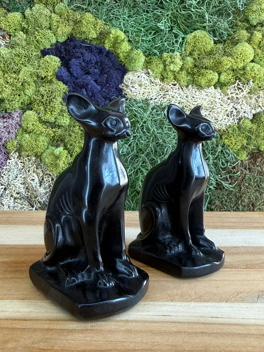OBSIDIAN SPHINX CAT