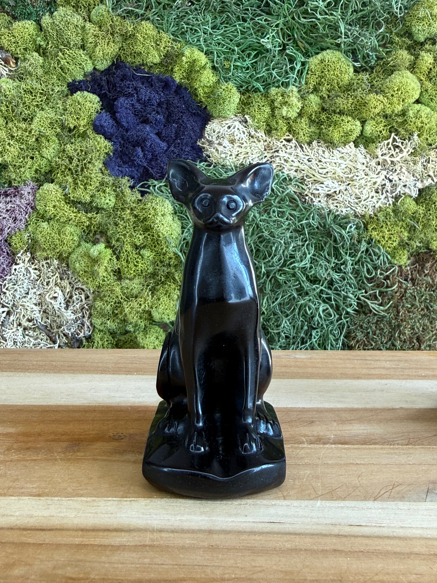 OBSIDIAN SPHINX CAT