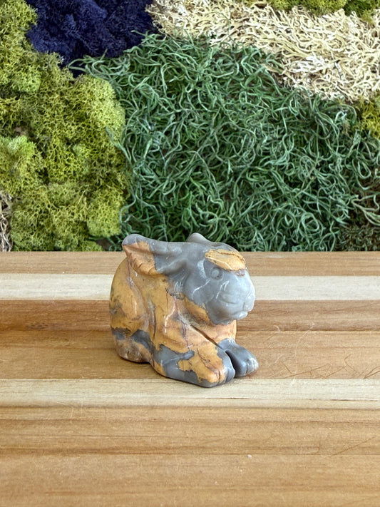 JASPER BUNNY